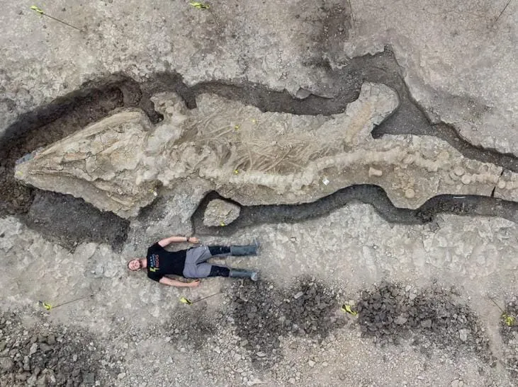 paleontología